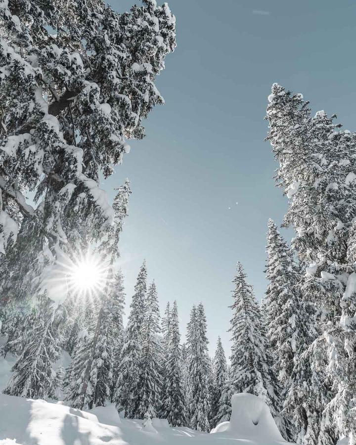 Hotel Alpensonne - Panoramazimmer & Restaurant アローザ エクステリア 写真